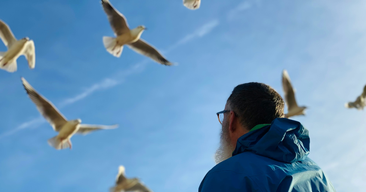 Image: A man gazes upwards at flying birds, symbolizing the art of letting go and the mental peace it brings.