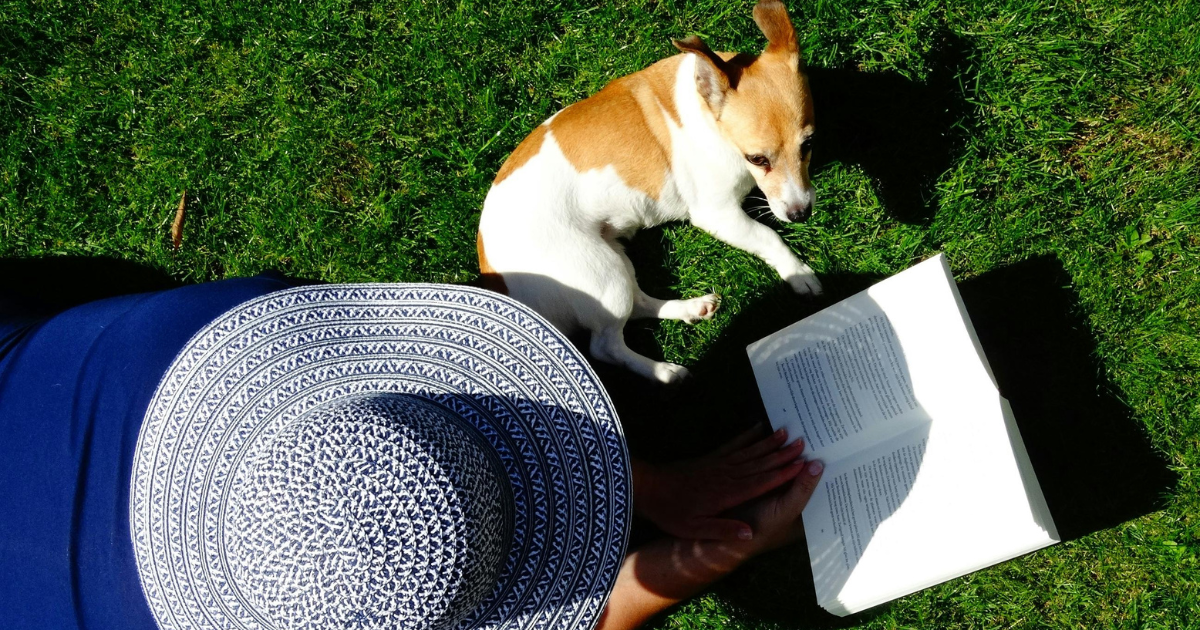 An individual stooping down on green grass, reading a book in the sunshine with a pet by their side, highlights the importance of following personal interests in finding purpose in life.